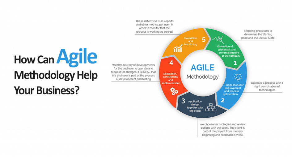 Agile Businesses