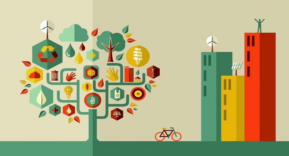 Navigating Sustainable Business with a Conscious Approach