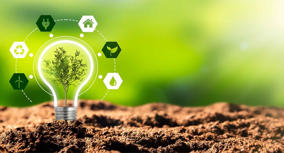 Navigating Sustainable Business