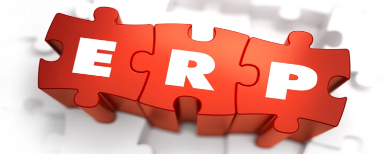 erp consulting services