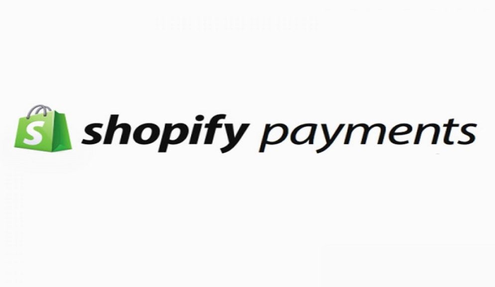 A Comprehensive Guide for Shopify Payments Fees for Merchants
