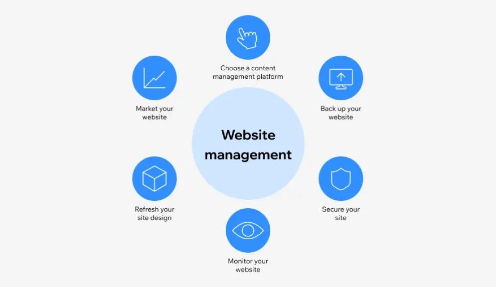 Why Your Business Needs Professional Website Management Services Today